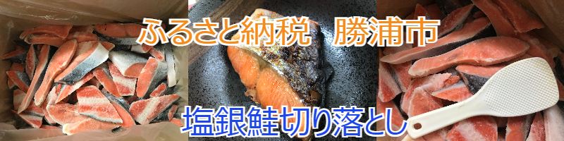 ふるさと納税第3弾♪塩銀鮭大容量! 約3.5kgが10000円！ | 30代主婦ダイエッターの日常